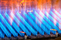 Bressingham Common gas fired boilers